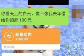宜都宜都专业催债公司的催债流程和方法